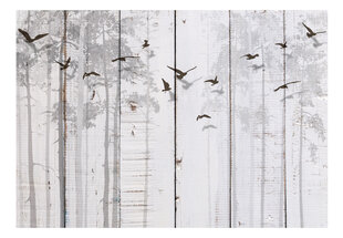 Fototapetas - Birds on Boards, 350x245 цена и информация | Фотообои | kaup24.ee