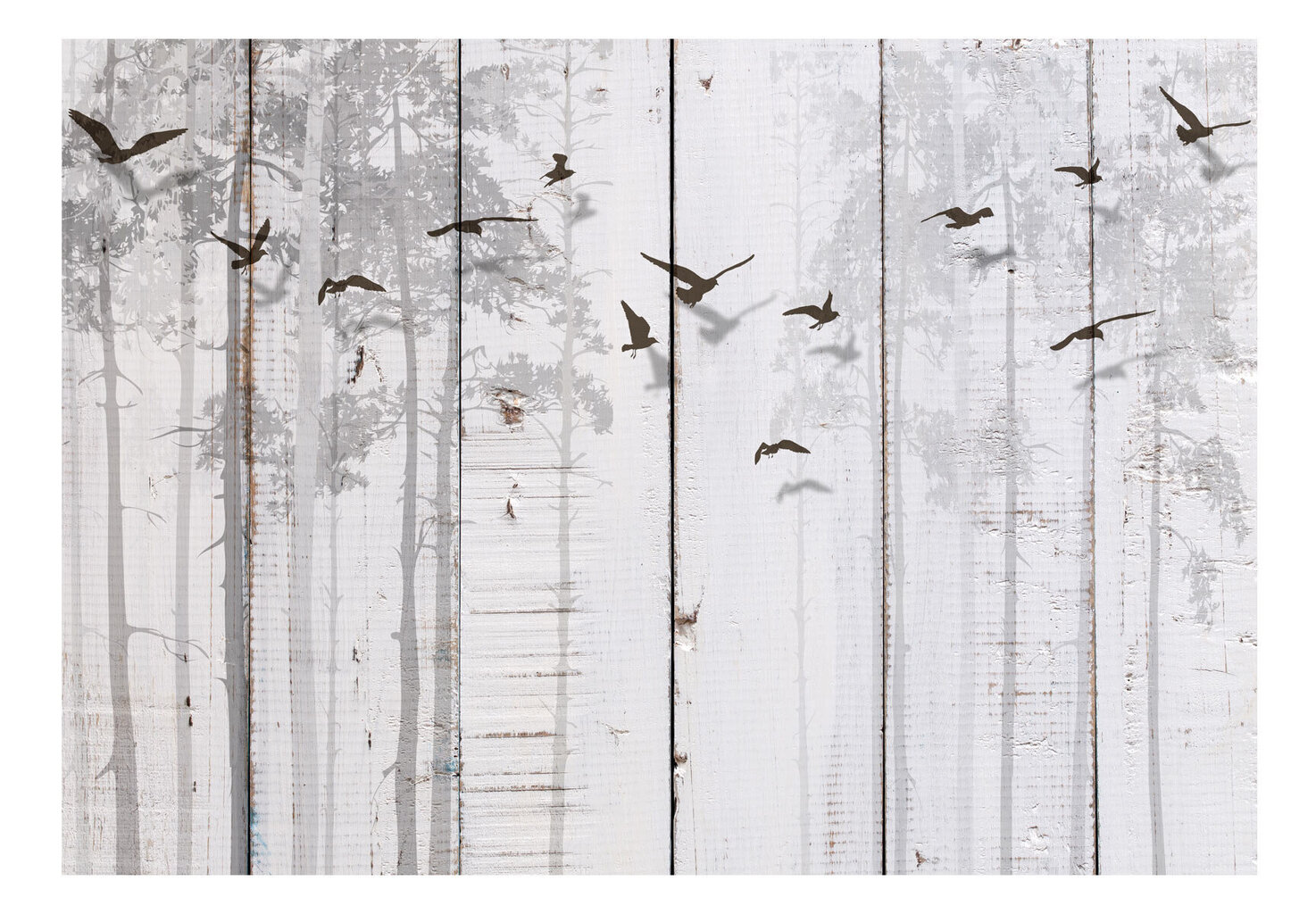 Fototapetas - Birds on Boards, 350x245 цена и информация | Fototapeedid | kaup24.ee