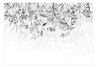 Fototapeet - Foggy Nature - Grey, 98x70 hind ja info | Fototapeedid | kaup24.ee