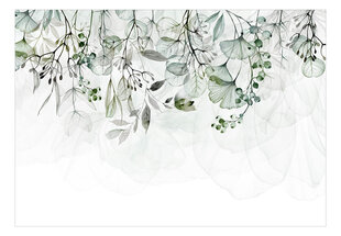 Fototapeet - Foggy Nature - Green, 98x70 hind ja info | Fototapeedid | kaup24.ee