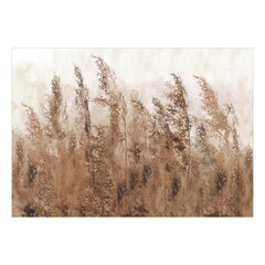 Fototapetas - Tall Grasses - Brown, 300x210 hind ja info | Fototapeedid | kaup24.ee