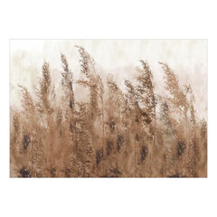 Fototapetas - Tall Grasses - Brown, 98x70 hind ja info | Fototapeedid | kaup24.ee