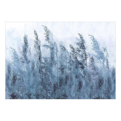 Fototapetas - Tall Grasses - Grey, 300x210 hind ja info | Fototapeedid | kaup24.ee