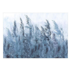 Fototapetas - Tall Grasses - Grey, 294x210 hind ja info | Fototapeedid | kaup24.ee