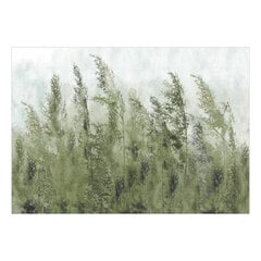 Fototapetas - Tall Grasses - Green, 150x105 hind ja info | Fototapeedid | kaup24.ee