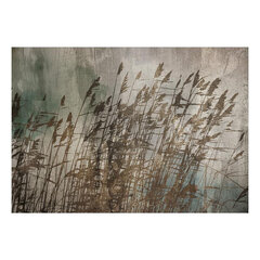 Fototapetas - Water Grasses, 200x140 hind ja info | Fototapeedid | kaup24.ee