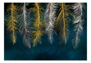 Fototapetas - Gilded Feathers, 300x210 hind ja info | Fototapeedid | kaup24.ee