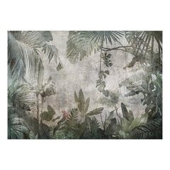 Fototapeet - Rain Forest in the Fog hind ja info | Fototapeedid | kaup24.ee