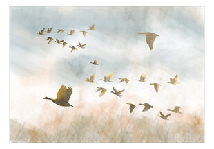 Fototapetas - Golden Geese, 200x140 hind ja info | Fototapeedid | kaup24.ee