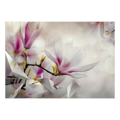 Fototapeet - Subtle Magnolias hind ja info | Fototapeedid | kaup24.ee