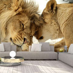 Фотообои - Lion Tenderness, 98x70 цена и информация | Фотообои | kaup24.ee