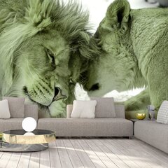 Фотообои - Lion Tenderness (Green), 98x70 цена и информация | Фотообои | kaup24.ee