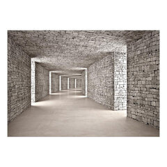 Fototapetas - Mysterious Tunnel, 147x105 hind ja info | Fototapeedid | kaup24.ee