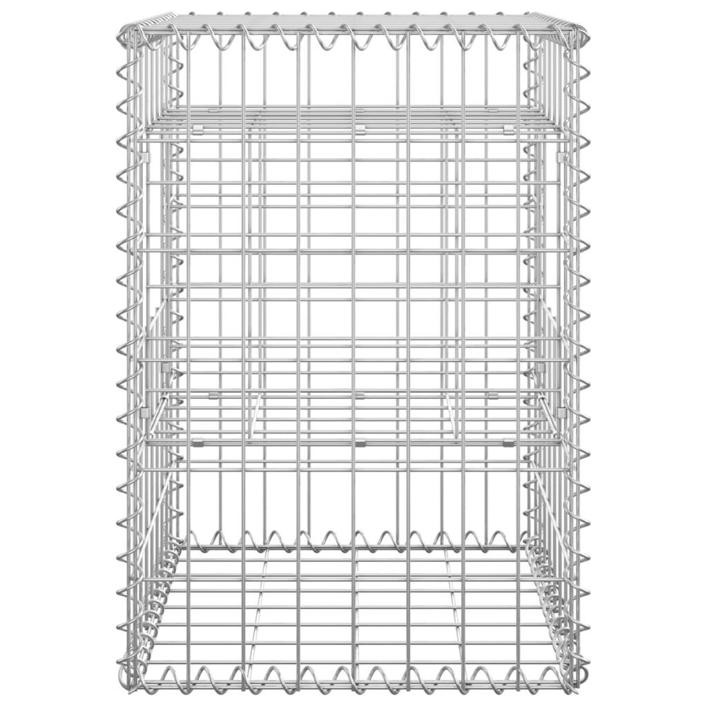 vidaXL gabioonkorvid 2 tk, 40 x 40 x 60 cm, iron цена и информация | Aiad ja tarvikud | kaup24.ee