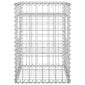 vidaXL gabioonkorvid 2 tk, 40 x 40 x 60 cm, iron hind ja info | Aiad ja tarvikud | kaup24.ee