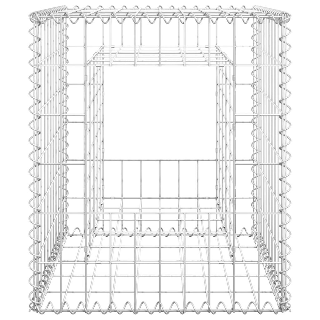 vidaXL gabioonkorvid 2 tk, 50 x 50 x 60 cm, raud hind ja info | Aiad ja tarvikud | kaup24.ee