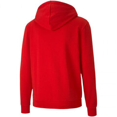 Meeste džemper Puma TeamGoal 23 Casuals Hooded Jacket M 656708 01, punane цена и информация | Мужские толстовки | kaup24.ee