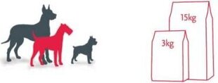 Fitmin Fitmin Medium Maintenance - 15 kg hind ja info | Kuivtoit koertele | kaup24.ee