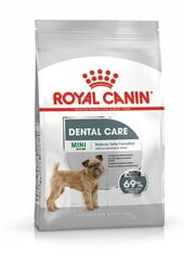Hambaprobleemidega koerad Royal Canin Mini Dental Care, 1 kg цена и информация | Сухой корм для собак | kaup24.ee