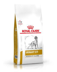 Kuseteede probleemidega koertel Royal Canin Urinary Moderate Calorie, 1,5 kg цена и информация | Сухой корм для собак | kaup24.ee