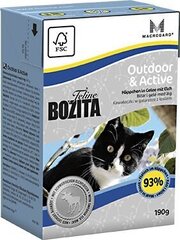 Консервы для кошек Bozita Feline Outdoor & Active - тетра упаковка, 190 г цена и информация | Кошачьи консервы | kaup24.ee