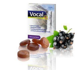 Maisto papildas Vocal Hard Caramel, 24 pastilės hind ja info | Vitamiinid, toidulisandid, preparaadid tervise heaoluks | kaup24.ee