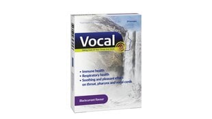 Твердые карамельные пастилки со вкусом черной смородины VOCAL, 24 шт. цена и информация | Витамины, пищевые добавки, препараты для хорошего самочувствия | kaup24.ee