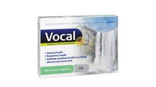 Сосательные пастилки со вкусом мяты VOCAL, 24 шт. цена и информация | Витамины, пищевые добавки, препараты для хорошего самочувствия | kaup24.ee