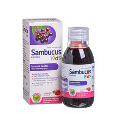 Сироп для детей SAMBUCUS KIDS PAMEX, 120 мл цена и информация | Витамины, пищевые добавки, препараты для хорошего самочувствия | kaup24.ee
