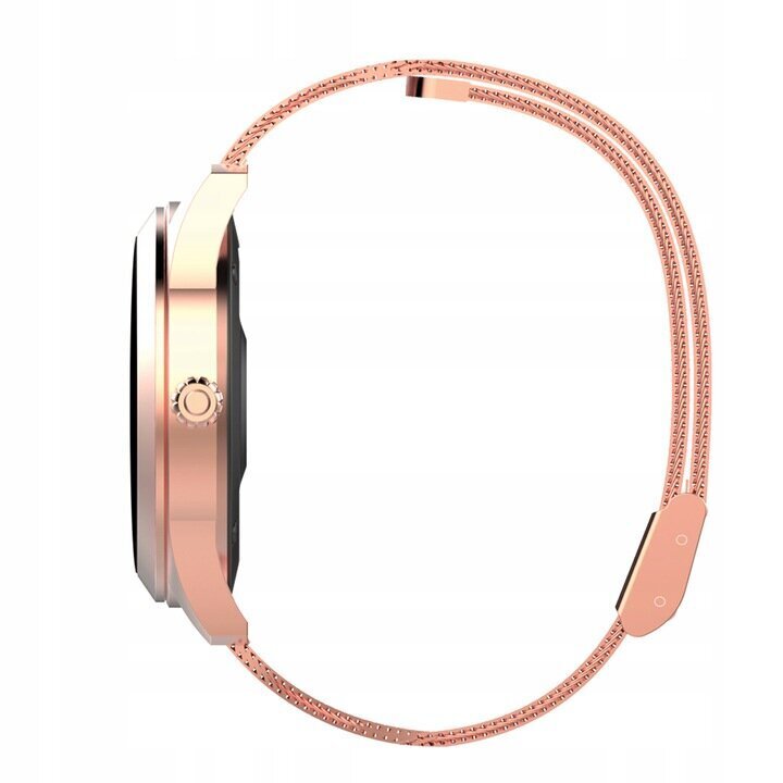 KW10 Gold hind ja info | Nutikellad (smartwatch) | kaup24.ee