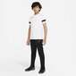 Poiste dressipüksid Nike Therma Fit Academy Winter Warrior Jr DC9158 010, mustad hind ja info | Poiste püksid | kaup24.ee