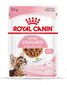 Konserv steriliseeritud kassidele ROYAL CANIN, 12 x 85 g hind ja info | Konservid kassidele | kaup24.ee