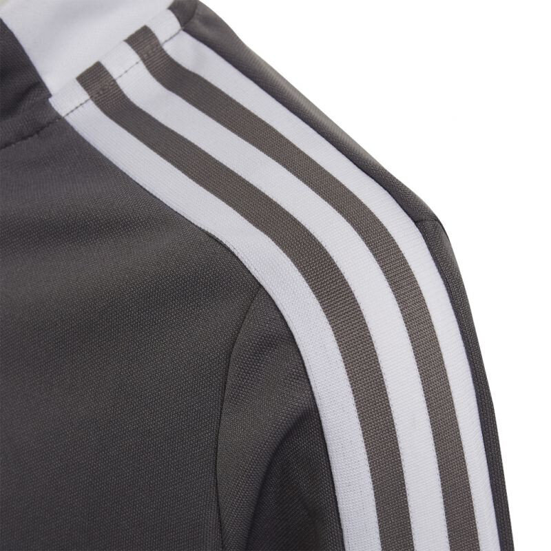Džemper poistele Adidas Tiro 21 Jr GM7321, hall hind ja info | Poiste kampsunid, vestid ja jakid | kaup24.ee
