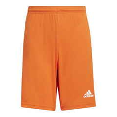 Poiste lühikesed püksid Adidas Squadra 21 Jr GN8082, oranžid hind ja info | Poiste lühikesed püksid | kaup24.ee