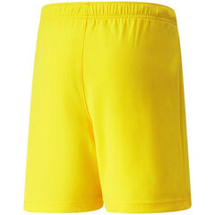 Lühikesed püksid poistele Puma TeamRise Short Jr 704943 07, kollased hind ja info | Puma Laste ja beebide riided, jalanõud | kaup24.ee