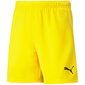 Lühikesed püksid poistele Puma TeamRise Short Jr 704943 07, kollased hind ja info | Poiste lühikesed püksid | kaup24.ee