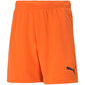 Lühikesed püksid poistele Puma TeamRise Short Jr 704943 08, oranžid hind ja info | Poiste lühikesed püksid | kaup24.ee