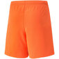 Lühikesed püksid poistele Puma TeamRise Short Jr 704943 08, oranžid hind ja info | Poiste lühikesed püksid | kaup24.ee