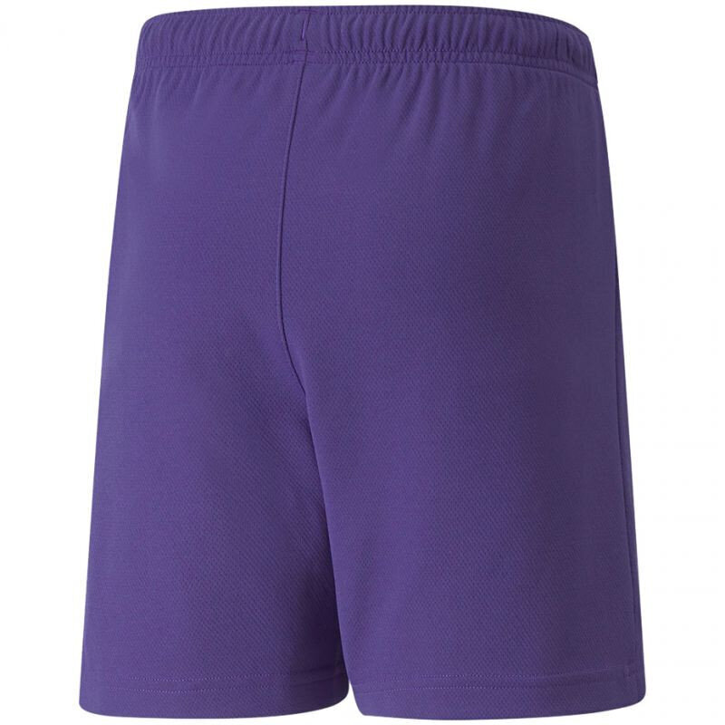 Lühikesed püksid poistele Puma TeamRise Short Jr 704943 10, lillad hind ja info | Poiste lühikesed püksid | kaup24.ee