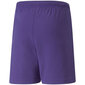 Lühikesed püksid poistele Puma TeamRise Short Jr 704943 10, lillad цена и информация | Poiste lühikesed püksid | kaup24.ee