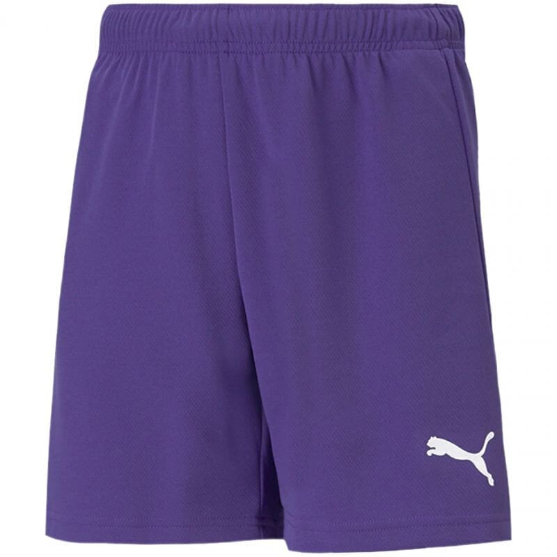 Lühikesed püksid poistele Puma TeamRise Short Jr 704943 10, lillad hind ja info | Poiste lühikesed püksid | kaup24.ee