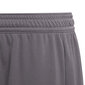 Poiste lühikesed püksid Adidas Entrada 22 Jr H57507, hallid hind ja info | Poiste lühikesed püksid | kaup24.ee