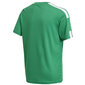 T-särk poistele Adidas Squadra 21 JSY Y Jr GN5743, roheline hind ja info | Poiste särgid | kaup24.ee