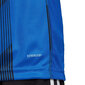 Laste T-särk Adidas Striped 19 Jr DU4396, sinine цена и информация | Poiste särgid | kaup24.ee