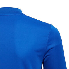 Laste T-särk Adidas Striped 19 Jr DU4396, sinine hind ja info | Poiste särgid | kaup24.ee