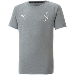 Laste T-särk Puma Neymar Evostripe Tee Medi Jr 605630 05, hall hind ja info | Poiste särgid | kaup24.ee