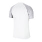 Laste T-särk Nike Dri Fit Strike II Jr CW3557100, valge цена и информация | Poiste särgid | kaup24.ee