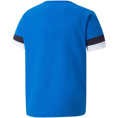 Laste T-särk Puma TeamRise Jersey Jr 704938 02, sinine цена и информация | Рубашки для мальчиков | kaup24.ee