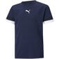 Laste T-särk Puma TeamRise Jersey Jr 704938 06, sinine цена и информация | Poiste särgid | kaup24.ee