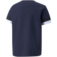 Laste T-särk Puma TeamRise Jersey Jr 704938 06, sinine цена и информация | Рубашки для мальчиков | kaup24.ee
